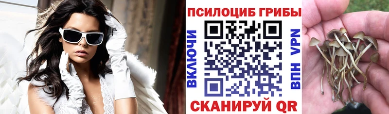 как найти   мориарти клад  Галлюциногенные грибы мухоморы  Старый Крым 